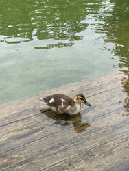 Similar image 22354530