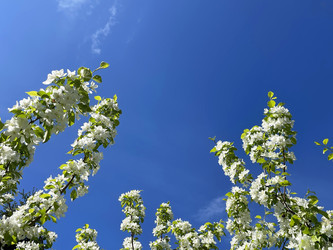 Similar image 22360199