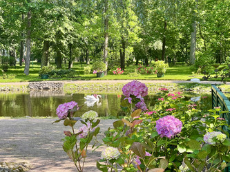 Similar image 22360200