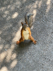 Similar image 22360202