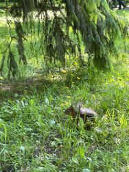 Similar image 22360203