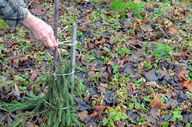 Similar image 22359118