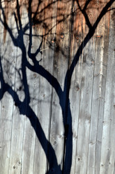 Similar image 22353114