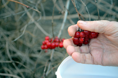 Similar image 22353115