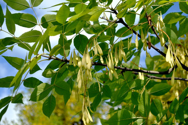 Similar image 22353116