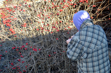 Similar image 22353117