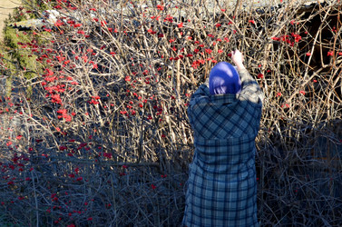 Similar image 22353118