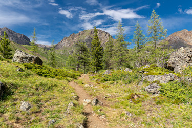 Similar image 22365630