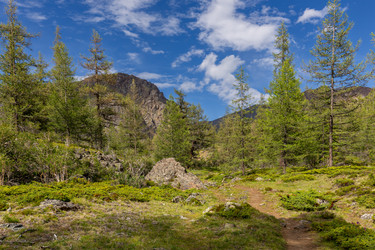 Similar image 22365646