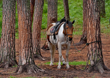 Similar image 22362656