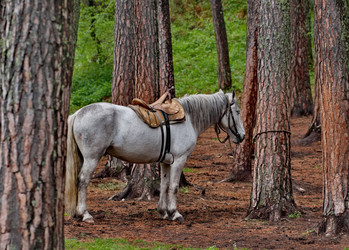 Similar image 22362657