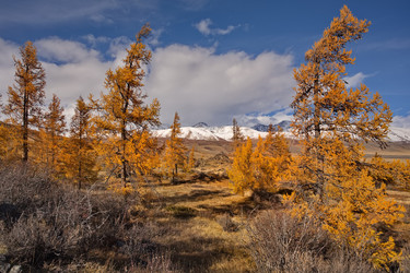 Similar image 22362660