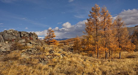 Similar image 22362661