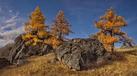 Similar image 22362663