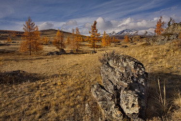 Similar image 22362666