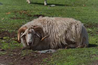 Similar image 22362673