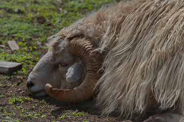 Similar image 22362674