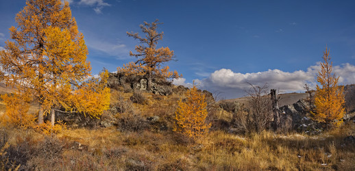 Similar image 22362682