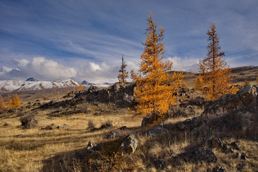 Similar image 22362684