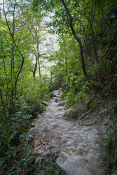 Similar image 22364010