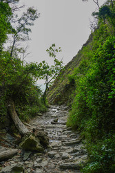 Similar image 22364011