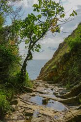 Similar image 22364012