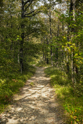 Similar image 22364033