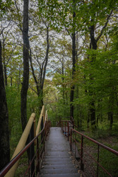 Similar image 22364034