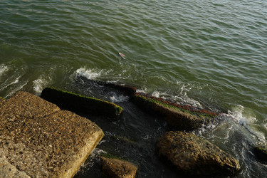 Similar image 22364037