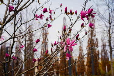 Similar image 22364047