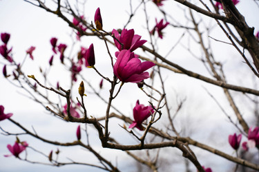 Similar image 22364048