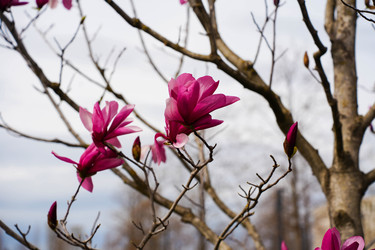 Similar image 22364049