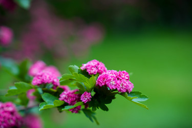 Similar image 22364062