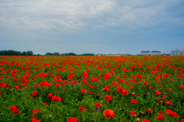 Similar image 22364066