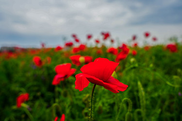 Similar image 22364074