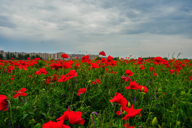 Similar image 22364075