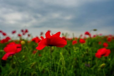 Similar image 22364076