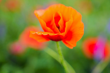 Similar image 22364077