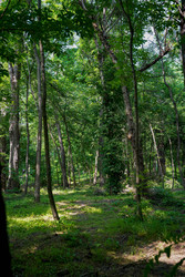 Similar image 22364081