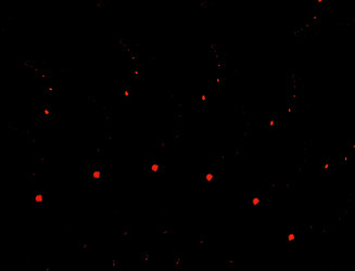 Similar image 22361277