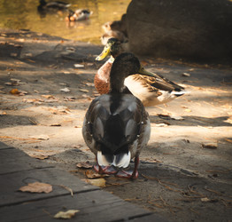 Similar image 22377403