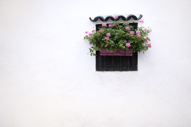 Similar image 22377634