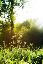 Similar image 22388040