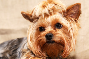 Similar image 22388055