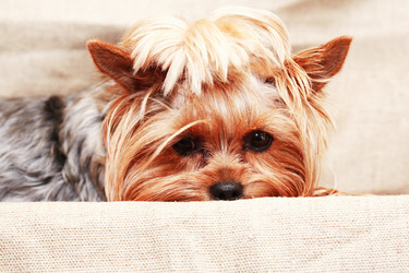 Similar image 22388056