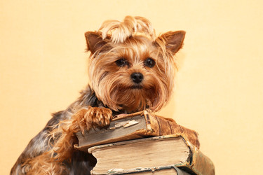 Similar image 22388057