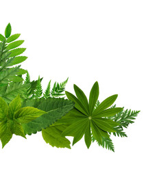 Similar image 22388058