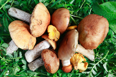 Similar image 22388063