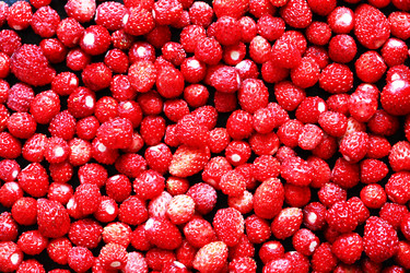 Similar image 22388066