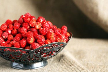 Similar image 22388068